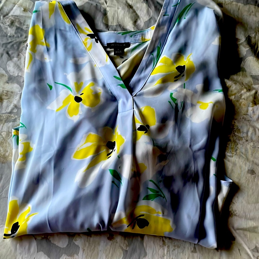 Ann Taylor Pull Over V-Nexk Blouse